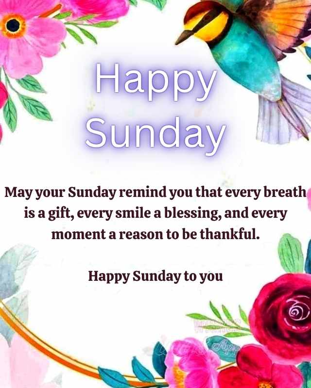Happy Sunday Blessings