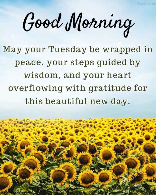 Positive Monday Blessings and Prayers