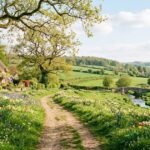 Blooming Grace: Beautiful Springtime Blessings to Refresh Your Heart and Life 